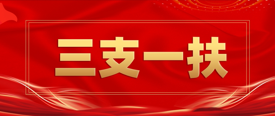 国图政考：2024年山东省三支一扶出公告啦!
