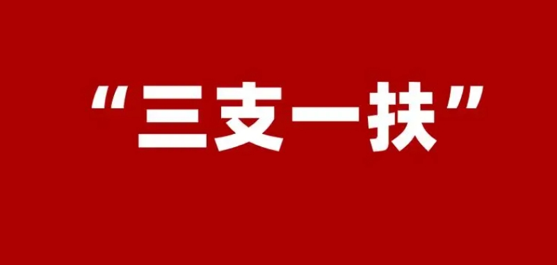 国图政考：大四可以考三支一扶吗?